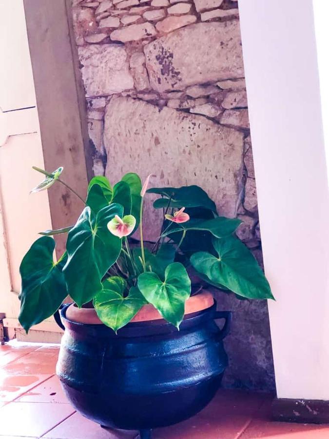 Pousada Colonial Penedo - Alagoas 外观 照片